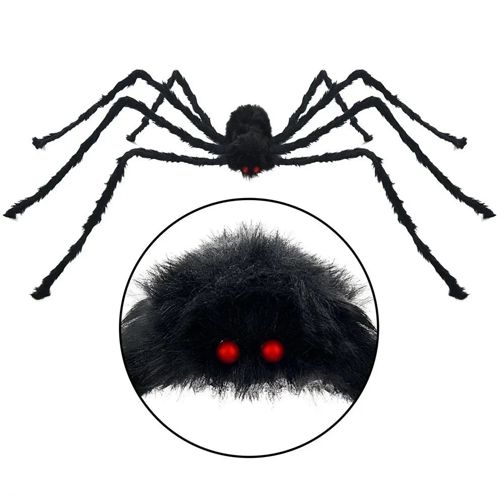 Large black spider with red eyes on a white background