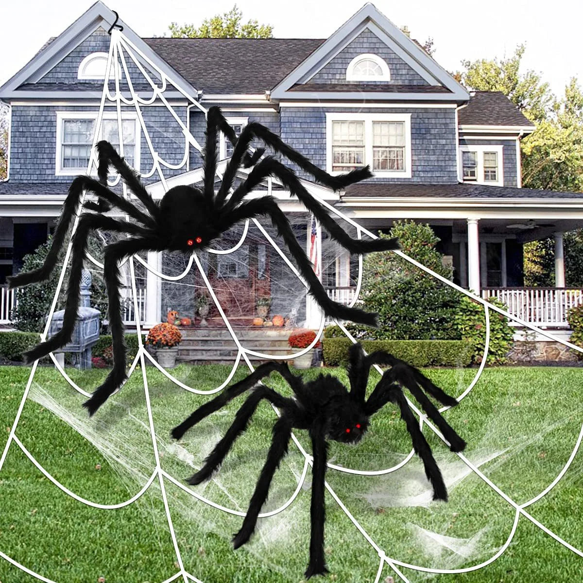 Huge black spiders and spider web in front of a house