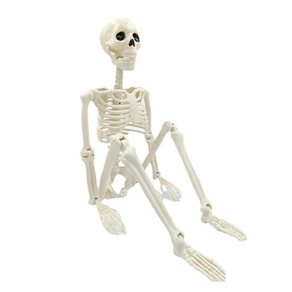 Skeletal model of a sitting position on a white background