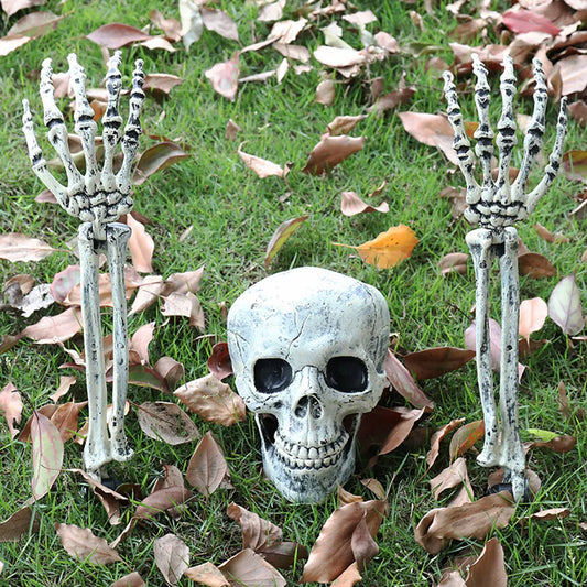 Skull and skeleton hands on grass with fallen leaves