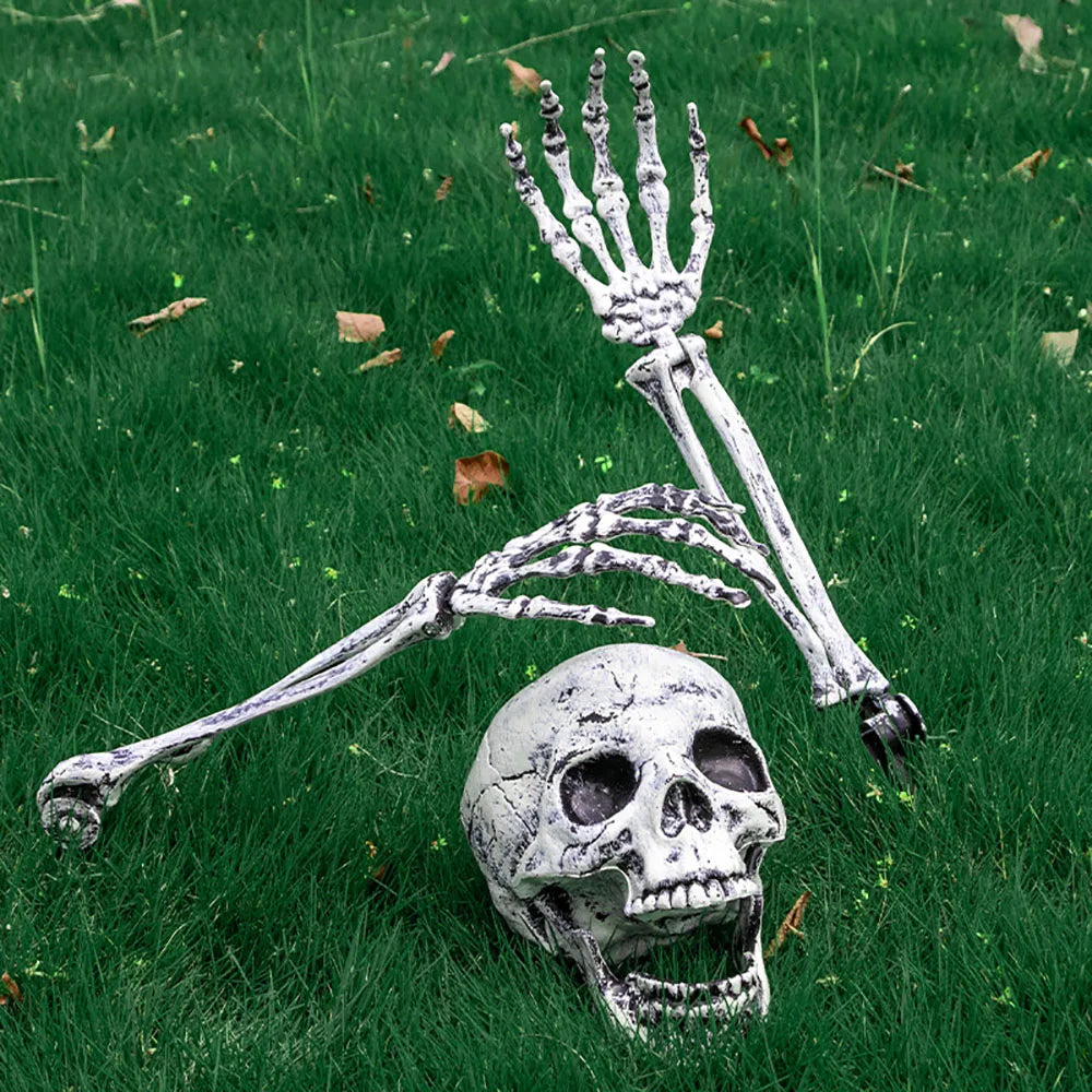 Skeleton figure with a skull on grass